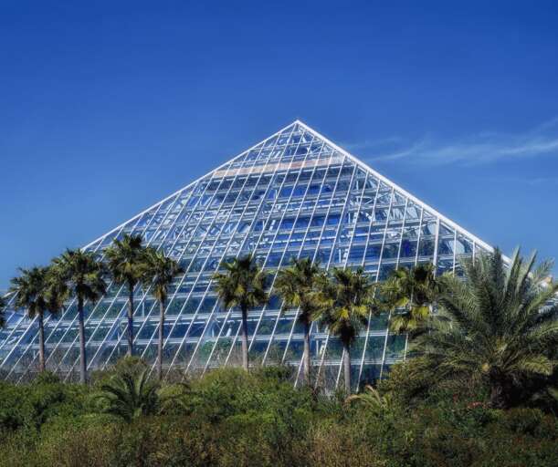 Moody Gardens: Nature's beauty meets human ingenuity.  