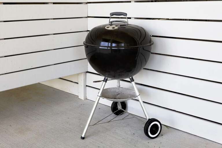 Just bring the charcoal, and started fluid.