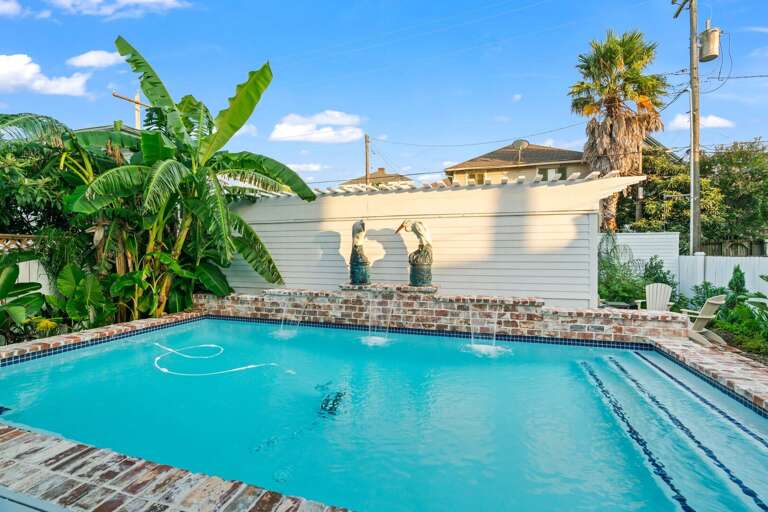 Just jump in already! Just jump in already!