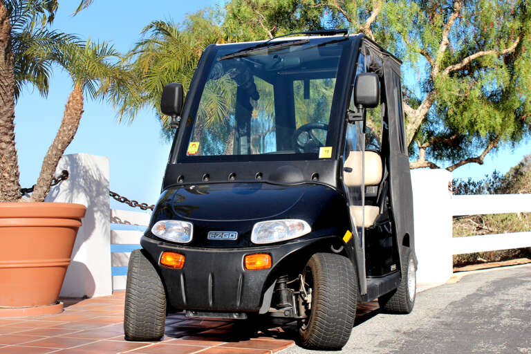 Electric Golf cart Electric Golf cart