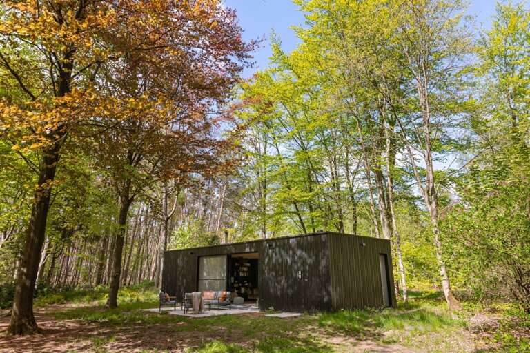 Stekene Cabin Rental Stekene Cabin Rental