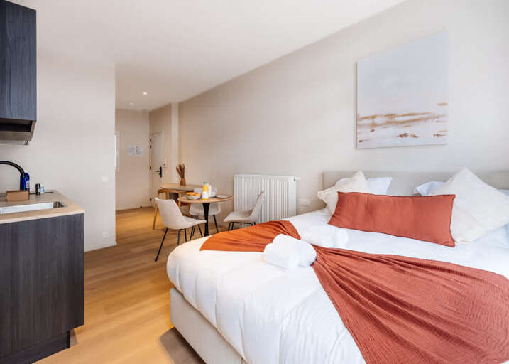 Gent Apartment Rental