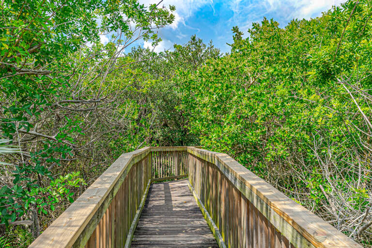 Beautiful Walking Trails On Site!