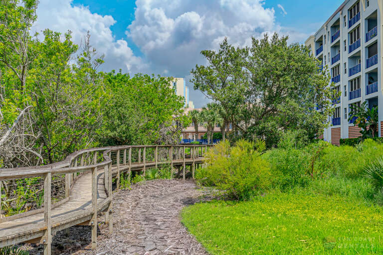 Beautiful Walking Trails On Site!