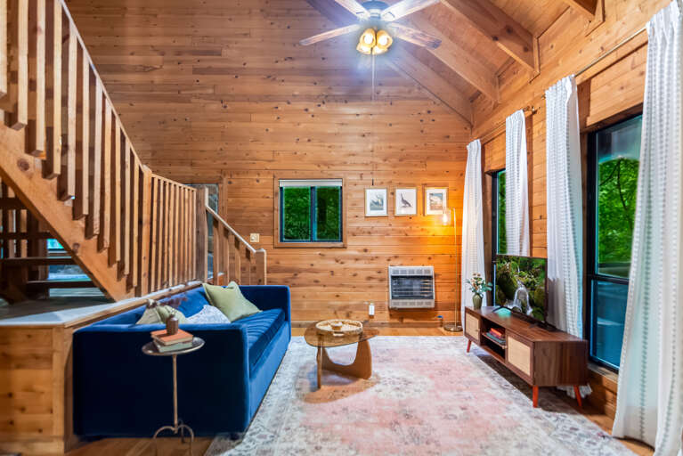 Living area with a pullout sofa