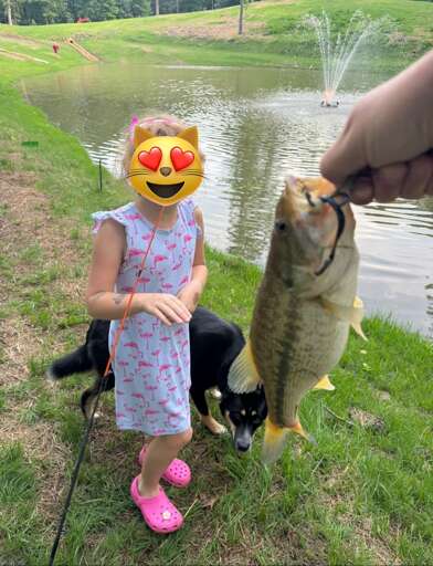Catch and Release
