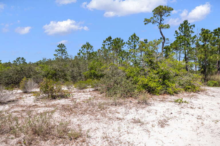 Paradise in Gulf Shores, AL