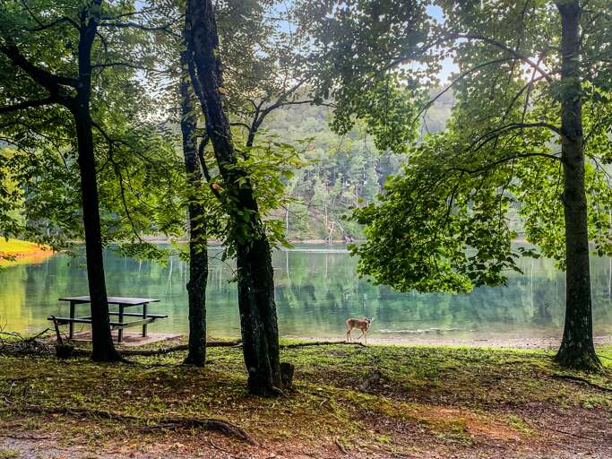 Look out for the wildlife! Look out for the wildlife!