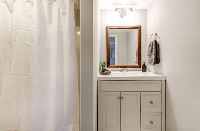 Full Downstairs Bathroom