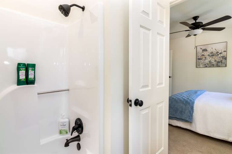 Secondary bathroom- shower/tub combo