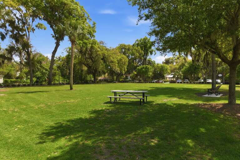 Peaceful park perfect for walks and relaxation.