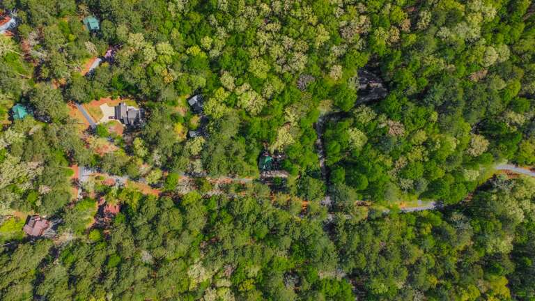 Look how the cabin is surrounded in the woodlands with pathway lights to enjoy all the waterfront and outdoor lounging spaces!