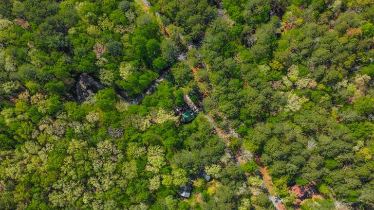 Look how the cabin is surrounded in the woodlands with pathway lights to enjoy all the waterfront and outdoor lounging spaces!