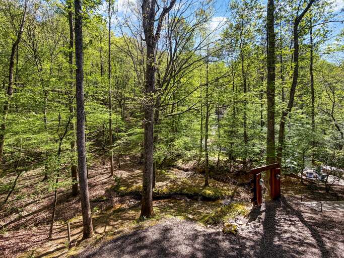 A serene waterfront retreat with stream views. Perfect for rest, restoration, and meaningful moments.