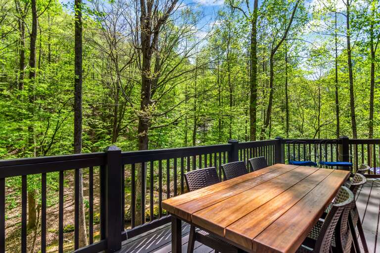 Deck dining in the afternoon or evening! Great place for takeout with wine and watch the deer visit with views of the water.