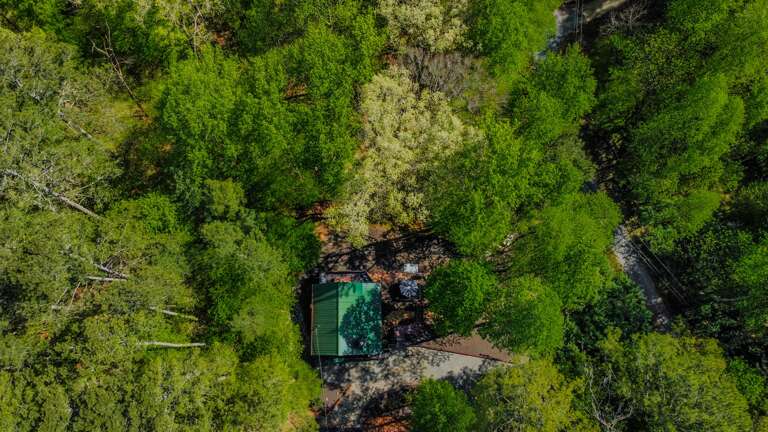 Look how the cabin is surrounded in the woodlands with pathway lights to enjoy all the waterfront and outdoor lounging spaces!