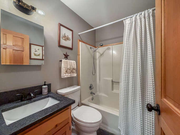 Full bathroom - tub/shower combo