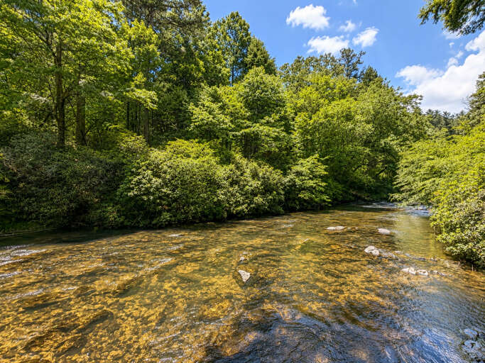 Ellijay River