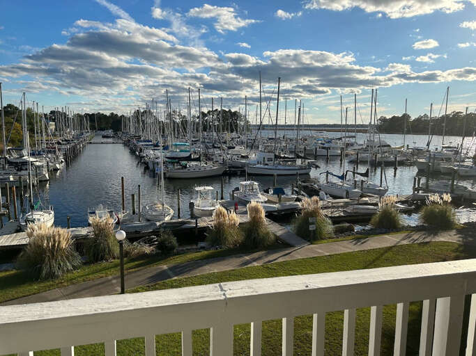 Beautiful views from the unit