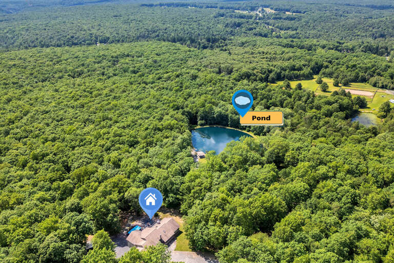 Lush Landscape, Hidden Home, Peaceful Pond