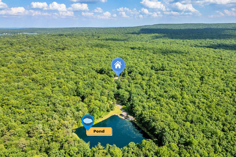 Lush Landscape, Serene Pond, Dense Forest