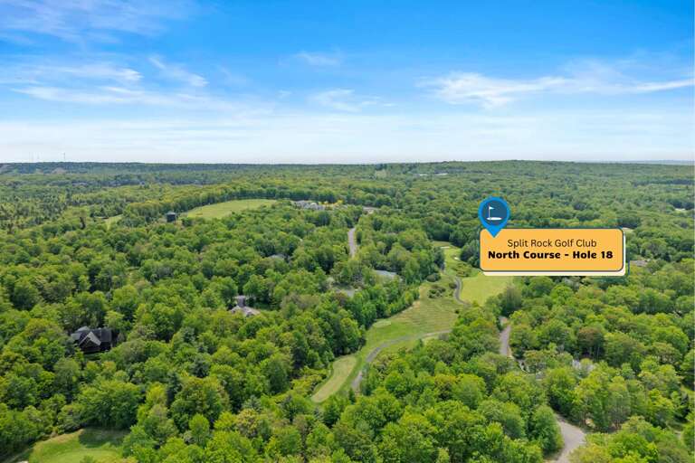 Lush Landscape, Winding Walkway, Expansive Greenery