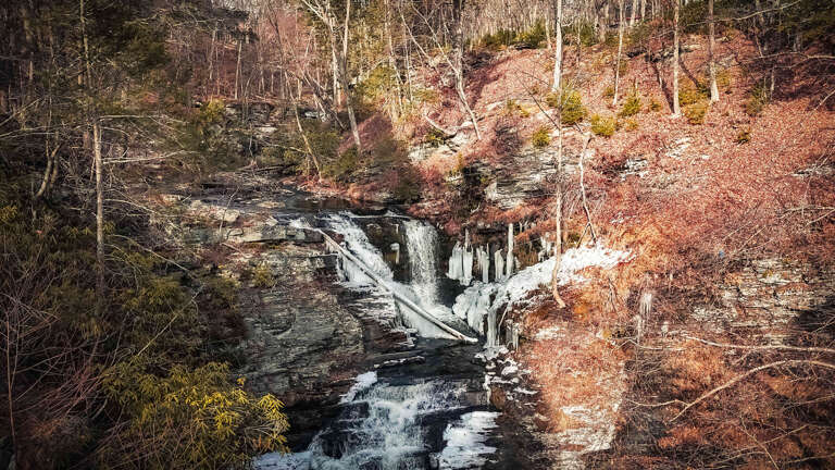 Forest Waterfall Winds Through Winter Woods