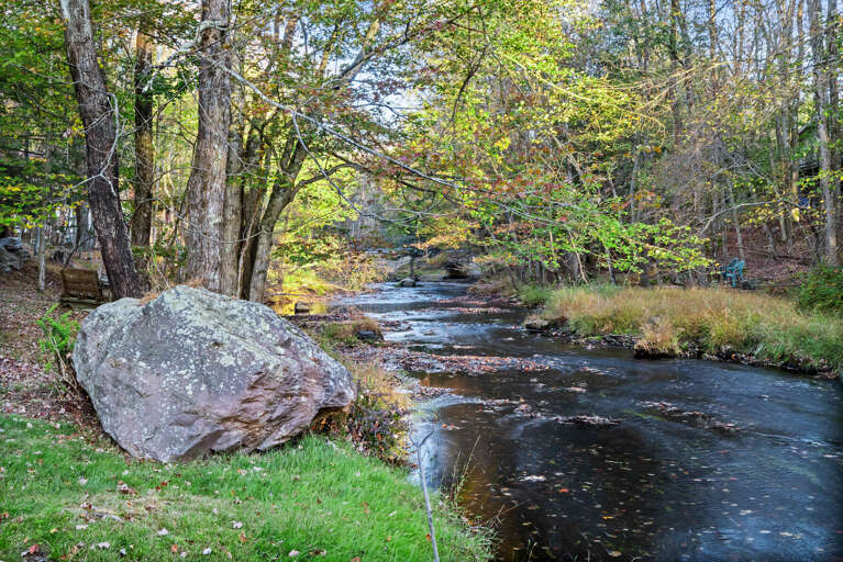 Stream Snakes Through Serene, Leaf-strewn Landscape