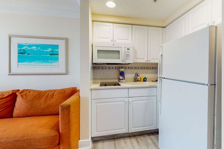 Compact Kitchen Corner With Cabinets, Fridge Beside Burnt Orange Sofa, Seascape Picture Hanging