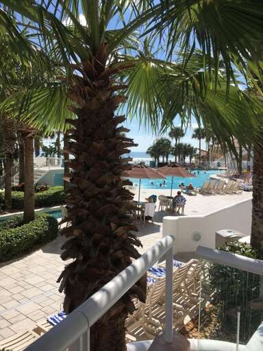 Daytona Ocean Walk 2424A