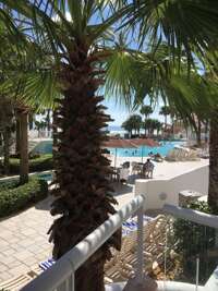 Daytona Ocean Walk 2424A