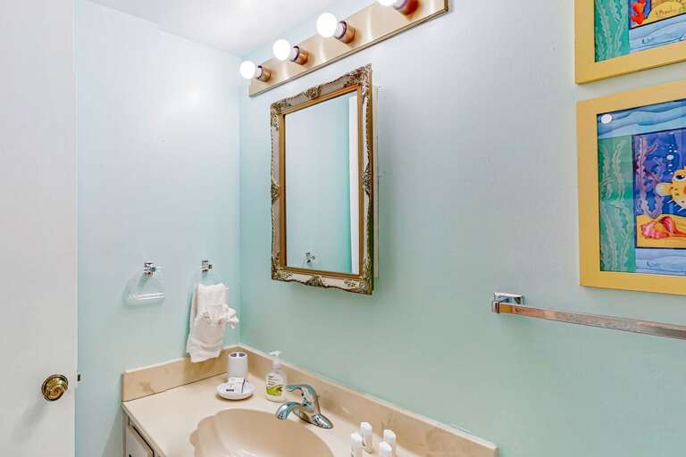 Van Lee 604 - The Sea Goose