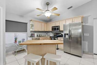 Sun and Fun- Dolphin Diversion