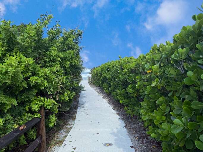 Lush greenery lines this scenic walkway leading directly to the sand and sea. Enjoy effortless beach access and a tranquil coastal setting that makes your beach stay truly unforgettable.