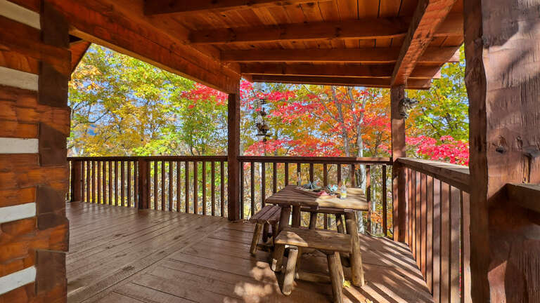 Golden hour on the porch.  Sunlight filters through the fall leaves and paints the deck in warm autumn light.  