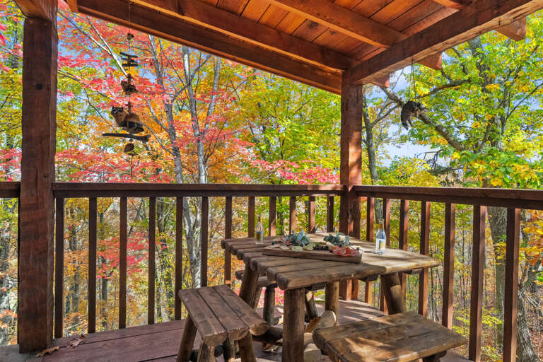 Dine among the treetops.   The rustic log table sits right in the canopy, surrounded by fall color on every side. 
