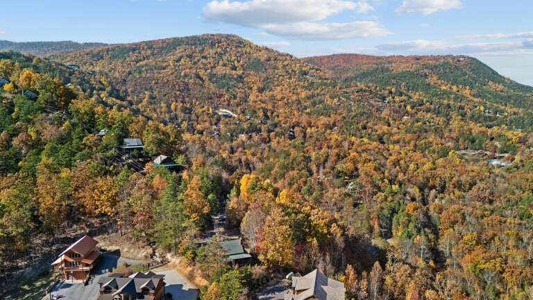 From sunrise to starlight, the Smokies surround you — endless ridges, golden forests, and the feeling that time finally slows down.