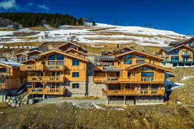 Les Chalets du Pic  26 pers vue panoramique