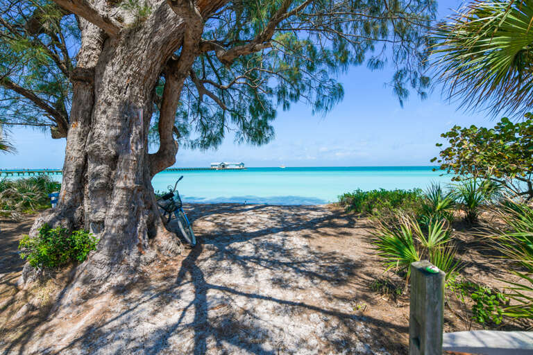 Path to the beach