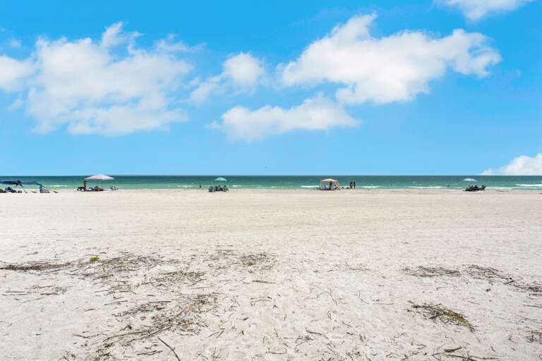 Beach View