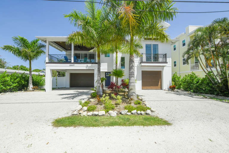 Lush Green Outdoor Garden