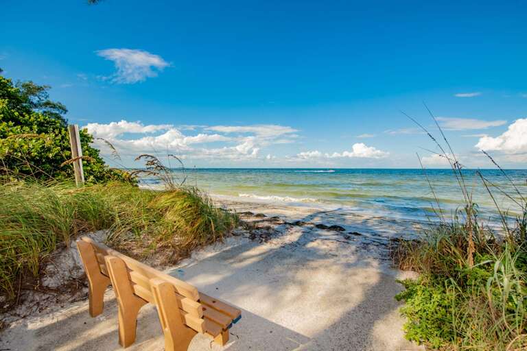 Amazing views of the beach