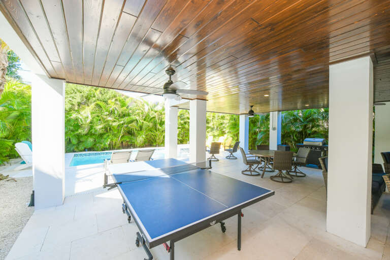 Ping Pong Table