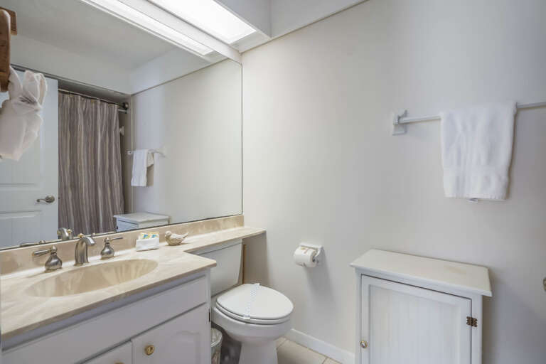 Ensuite Primary Bathroom