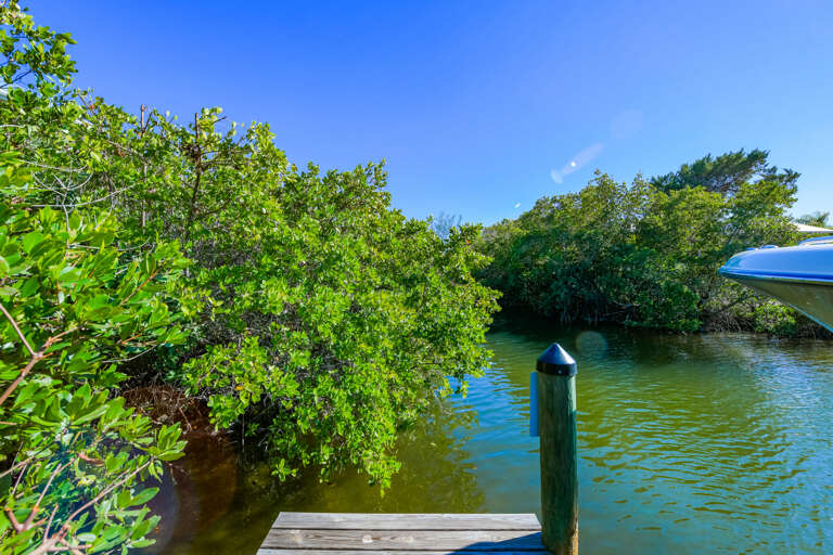 Waterfront Dock and Nature
