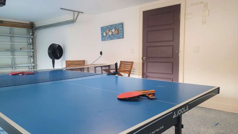 Ping Pong Table