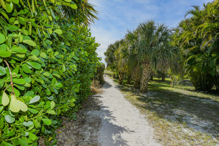 Close To Beach