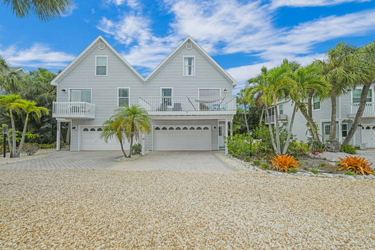 Saltwater Palms - By AMI Locals