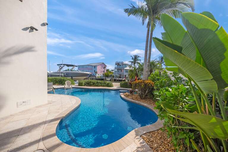 Pool surrounded by tropical palms and lush landscaping