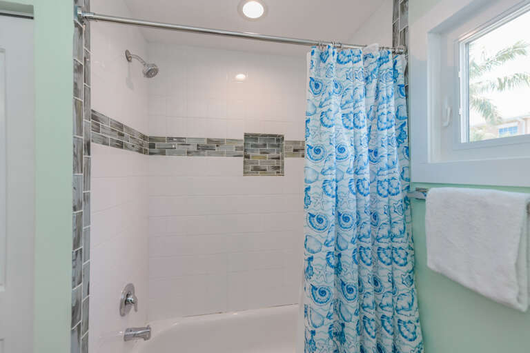 Elegant Tub and Rain Shower